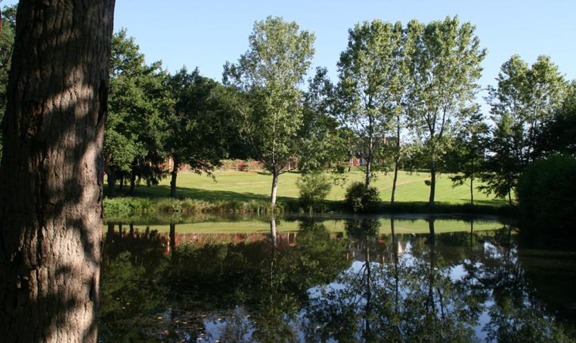 مبيت وإفطار Ardenais Domaine De Vilotte المظهر الخارجي الصورة